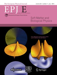 EPJ 