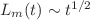 $L_{m}(t)\sim t^{1/2}$
