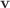 $ \mathbf{v}$