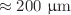$$\approx 200~ \upmu \textrm{m}$$