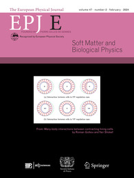 EPJ 