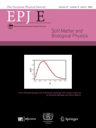 EPJ 