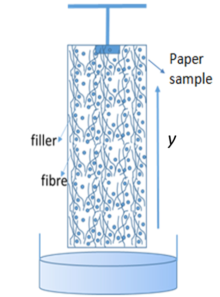 Graphical abstract