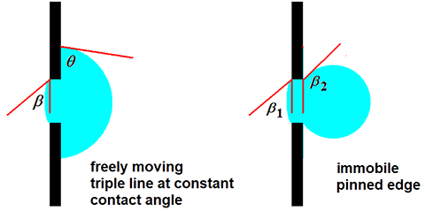 Graphical abstract