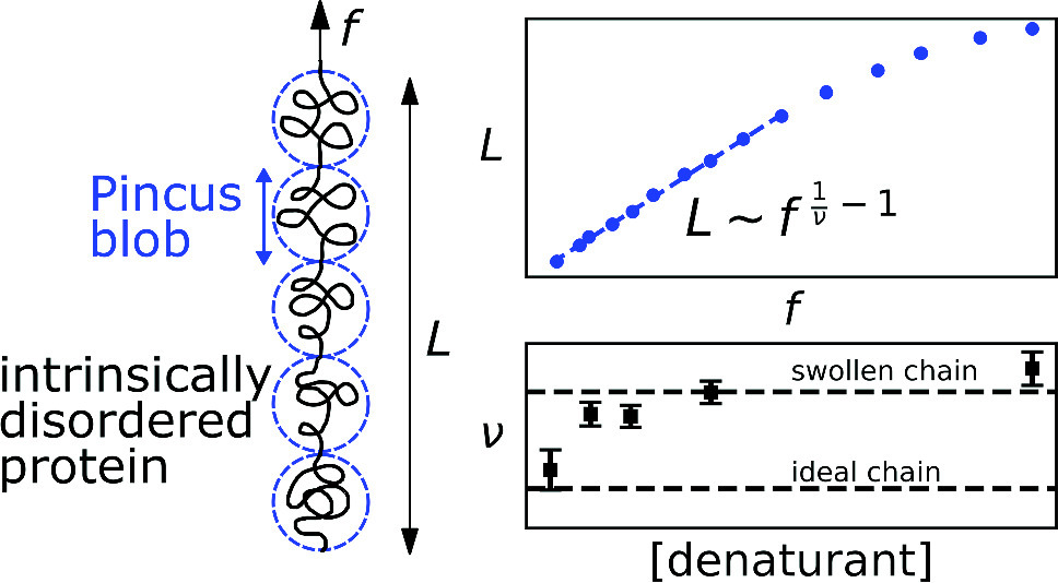 Graphical abstract