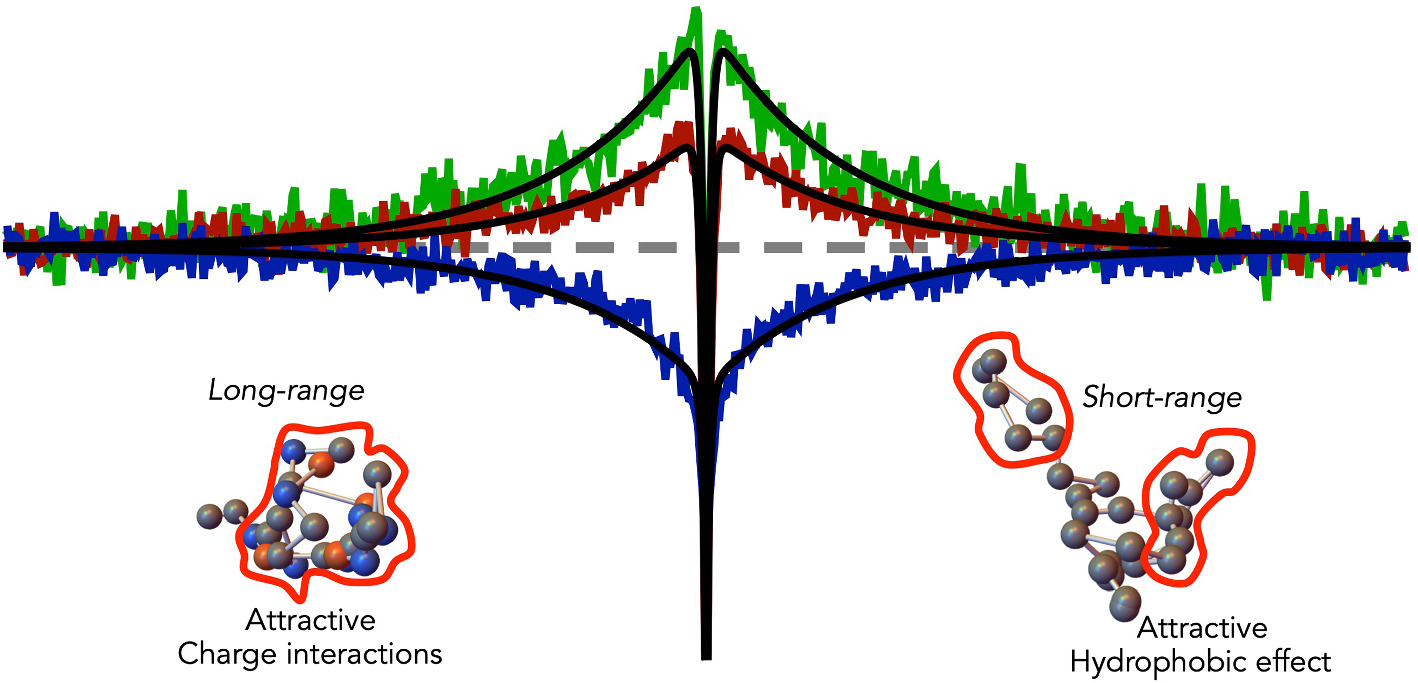 Graphical abstract