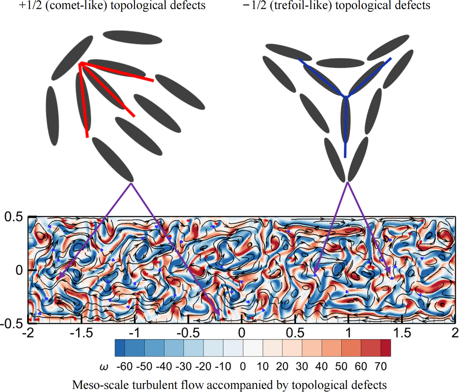 Graphical abstract