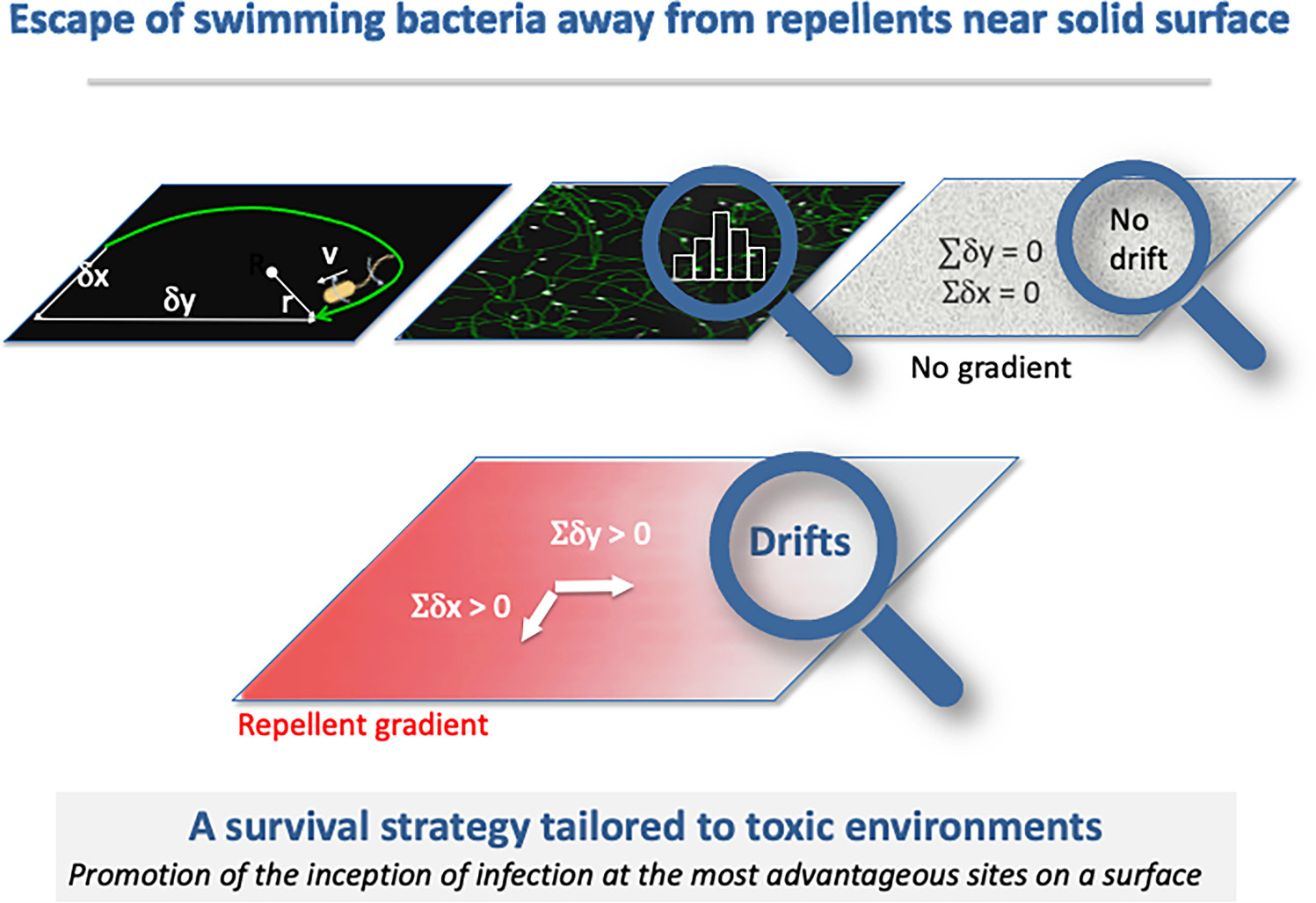 Graphical abstract