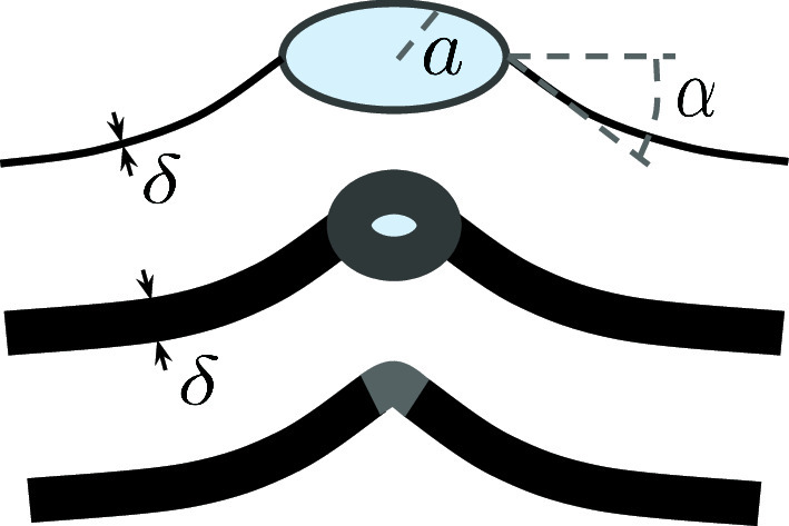 Graphical abstract