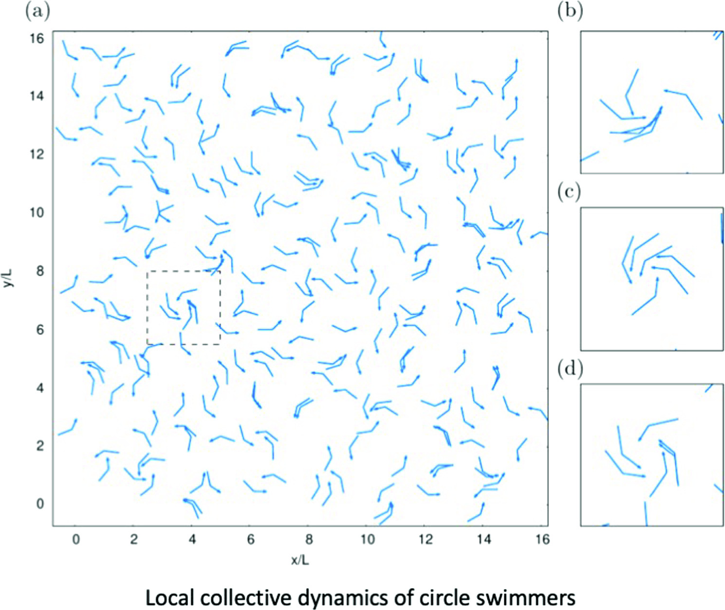 Graphical abstract