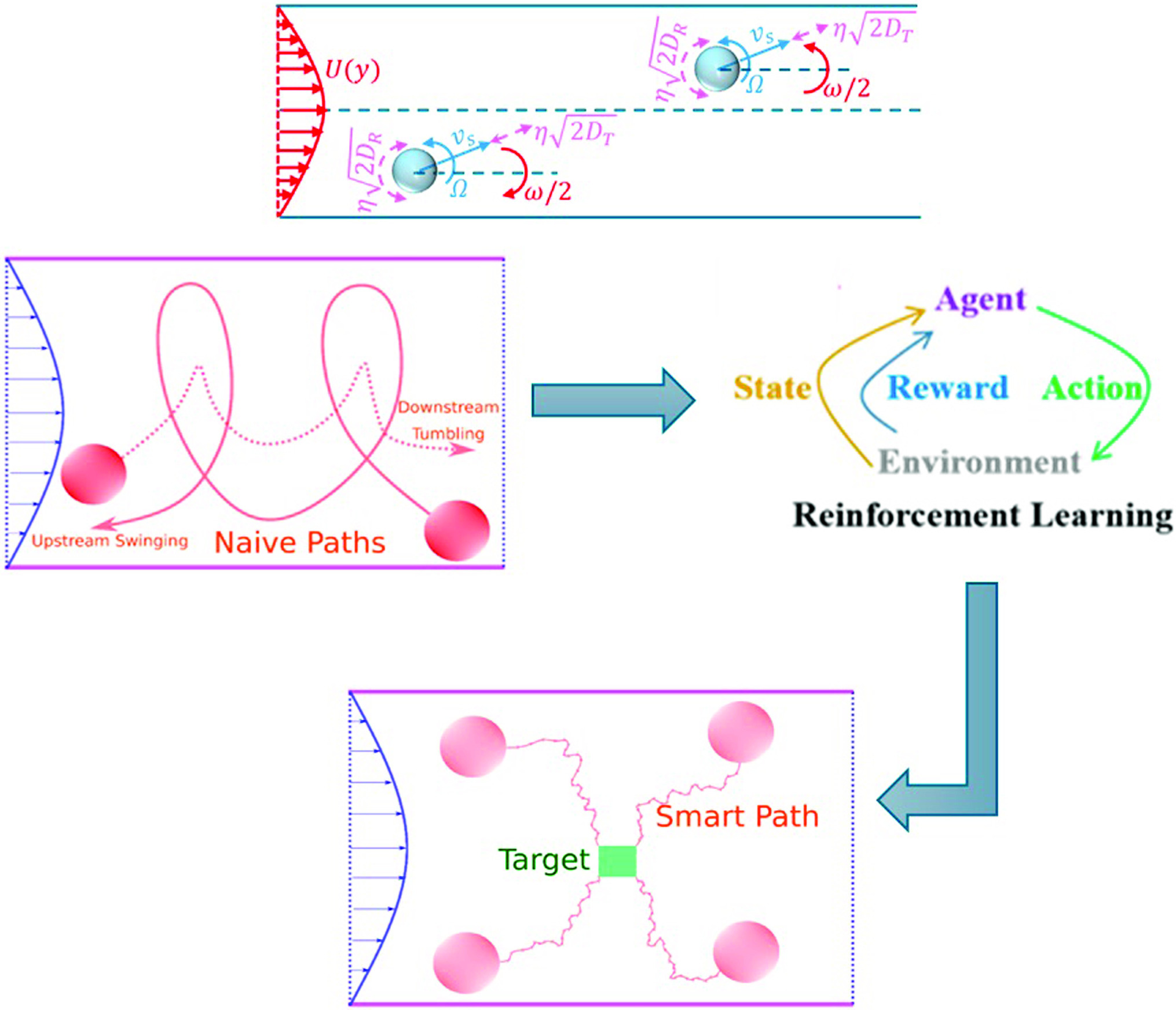 Graphical abstract
